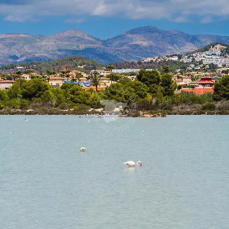 Costablancadreams 2 6o In *