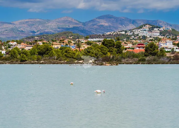 Costablancadreams 2 6o In *